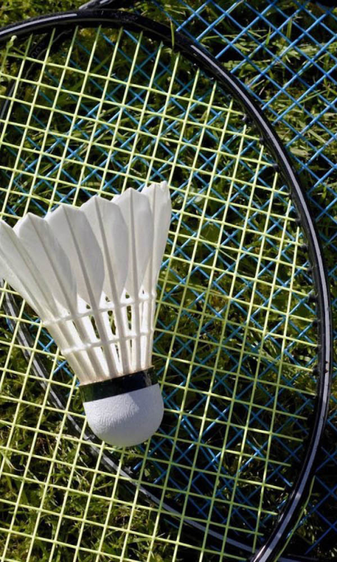 Download Badminton wallpaper