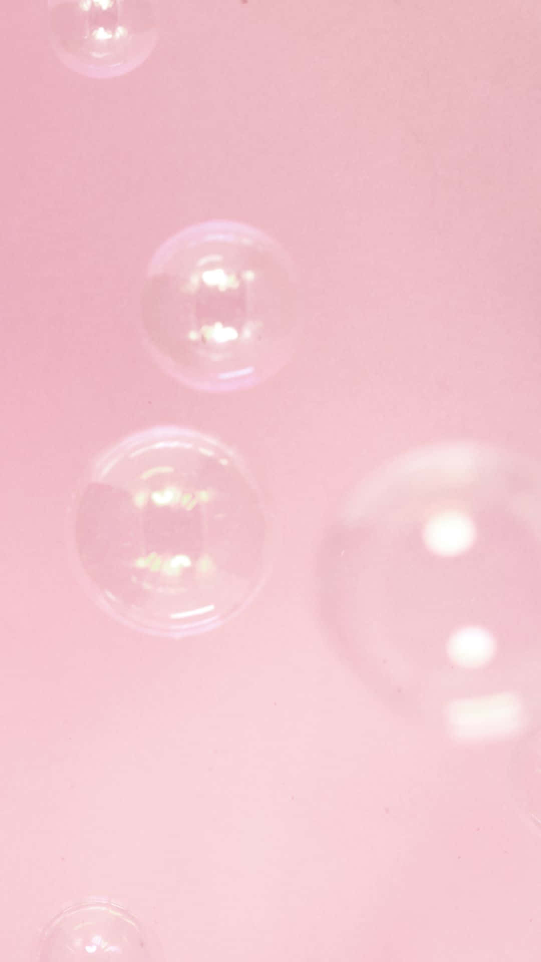 Download Bubbles Floating In A Pink