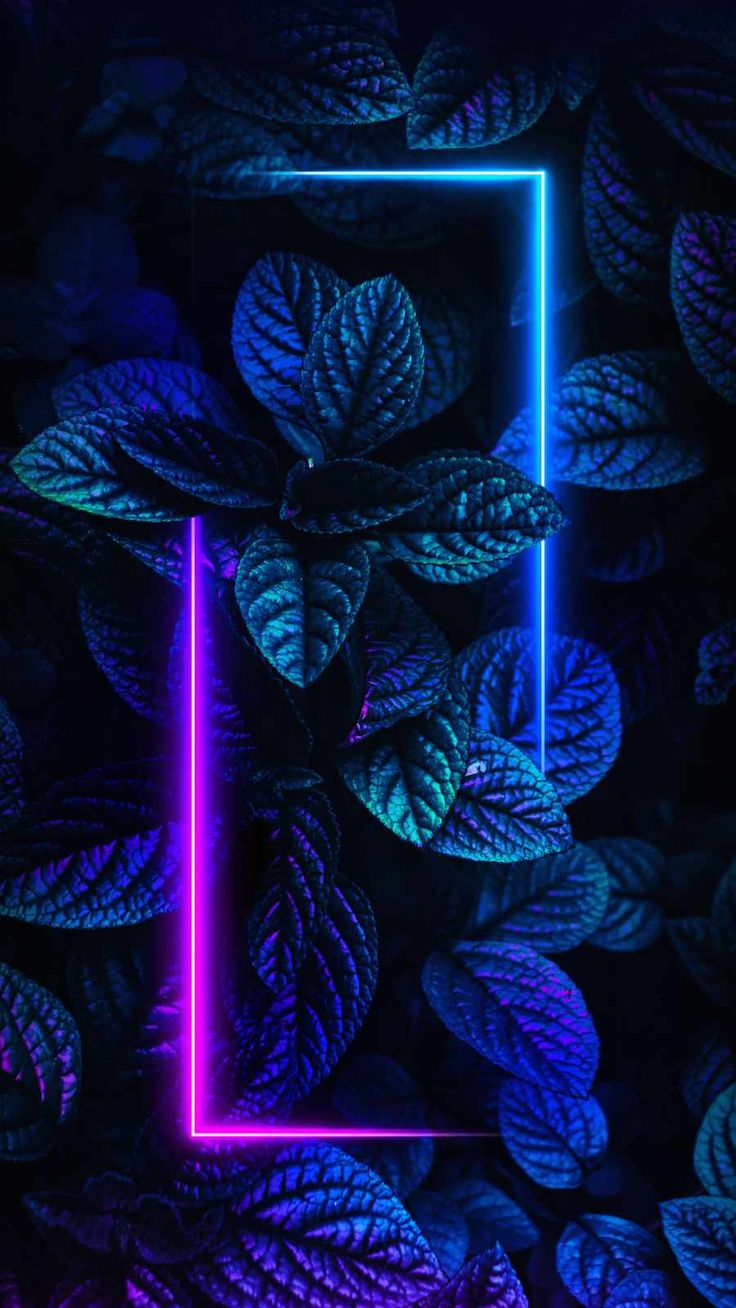 Foliage Neon Nature iPhone Wallpaper