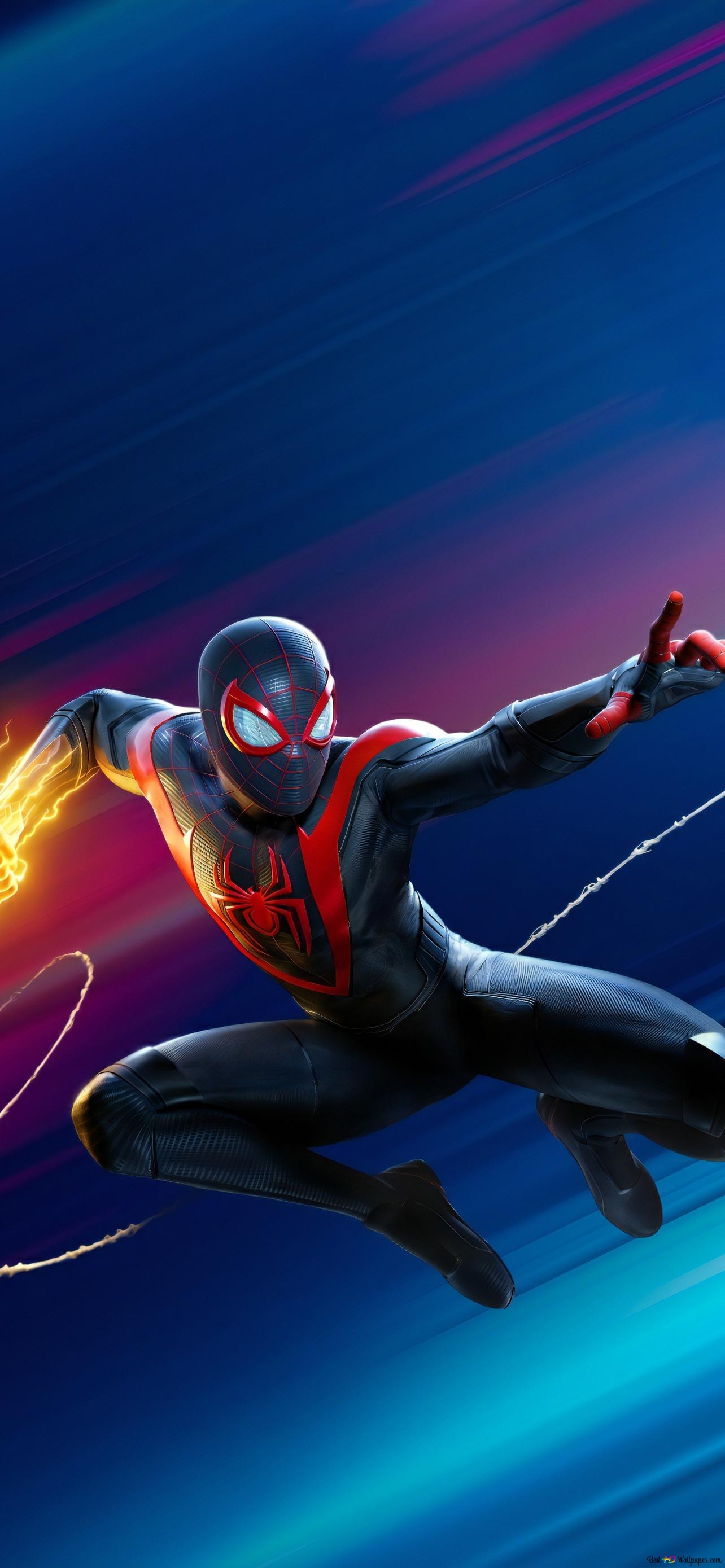 Spider back 2K wallpaper download