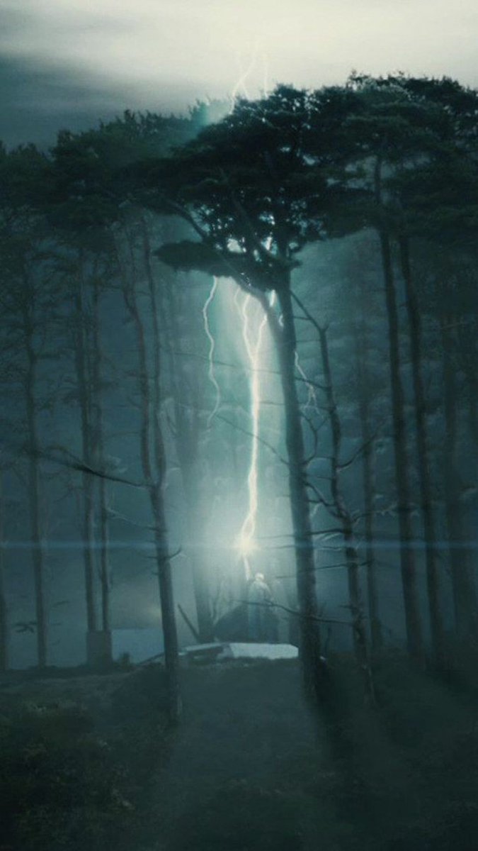 Lord Voldemort vibes