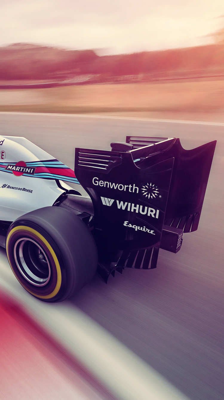 Williams 2014 F1 Car Rear