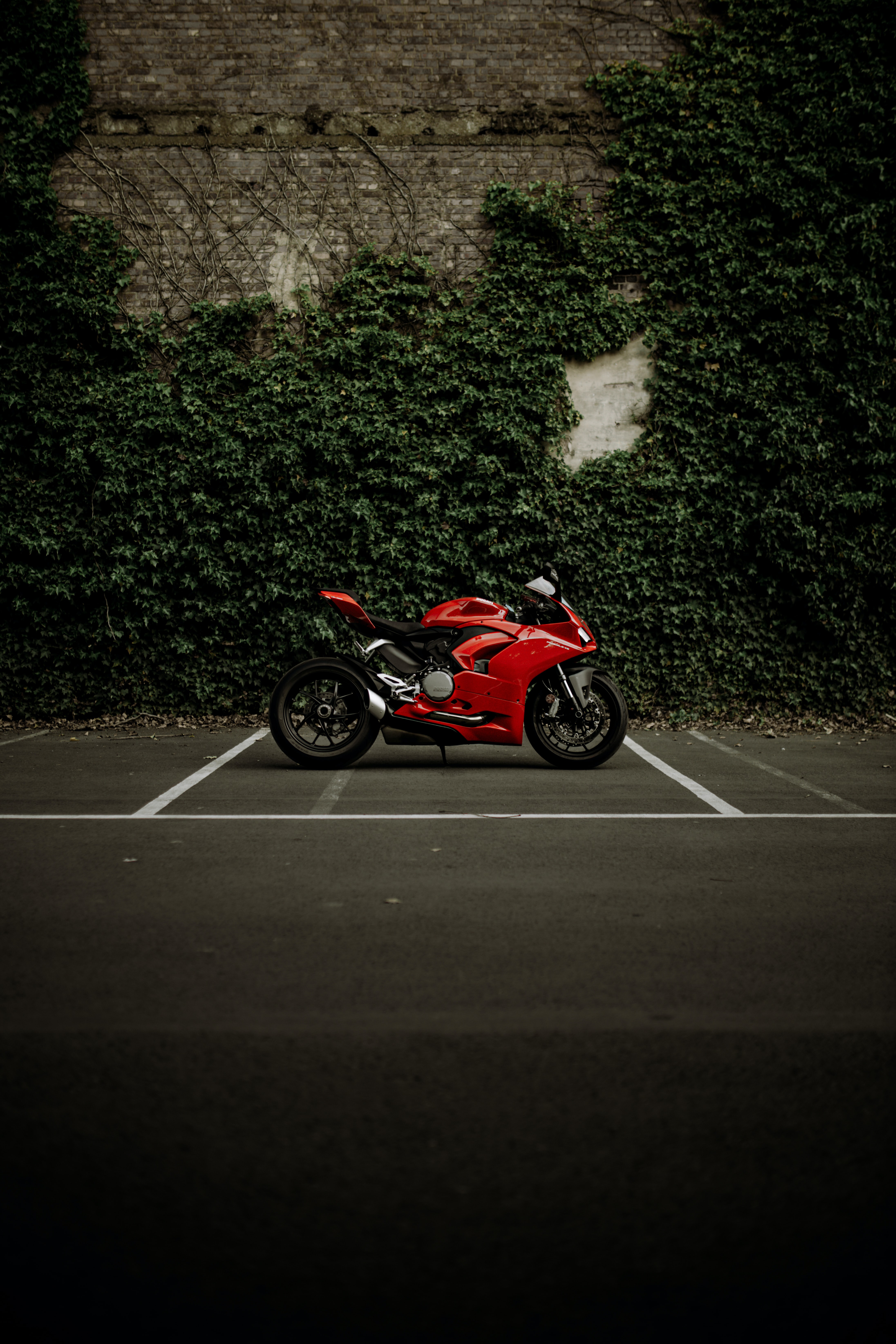 Download Ducati wallpaper for mobile