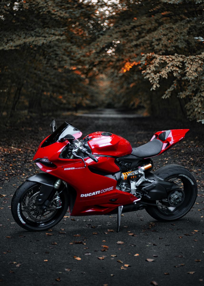 Ducati Panigale 1199' Poster, picture