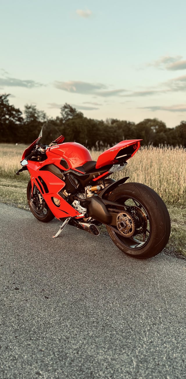 iphone pics came out pretty good