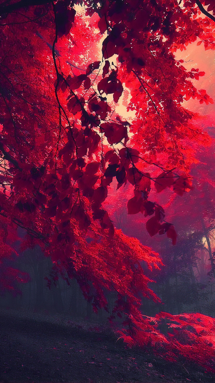 Dark Red Autumn Forest iPhone
