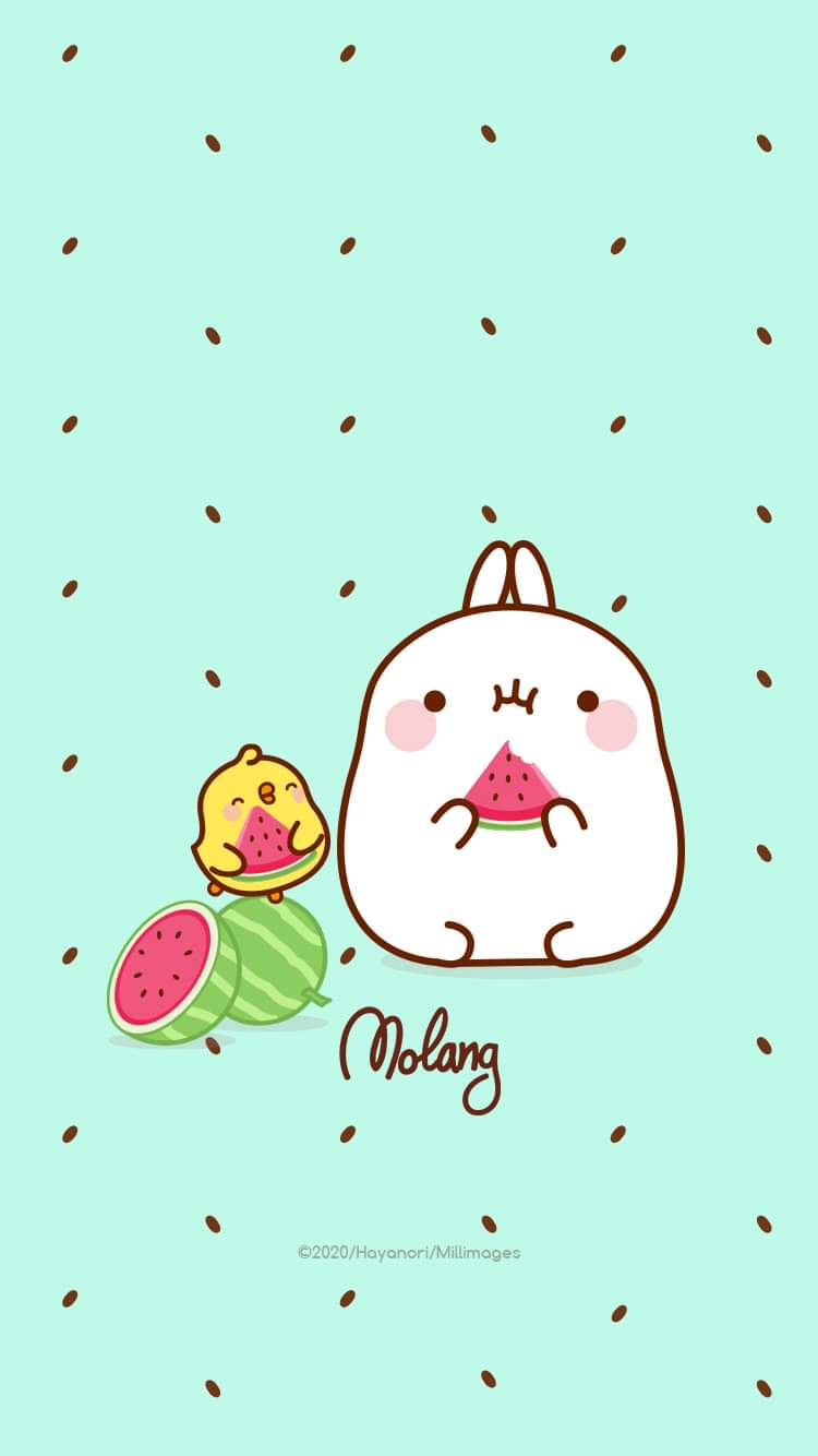 Yummy Watermelon Treat Mobile Wallpaper