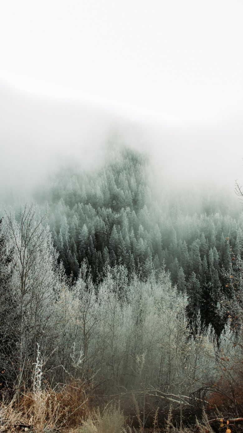 Winter Wallpaper For IPhone