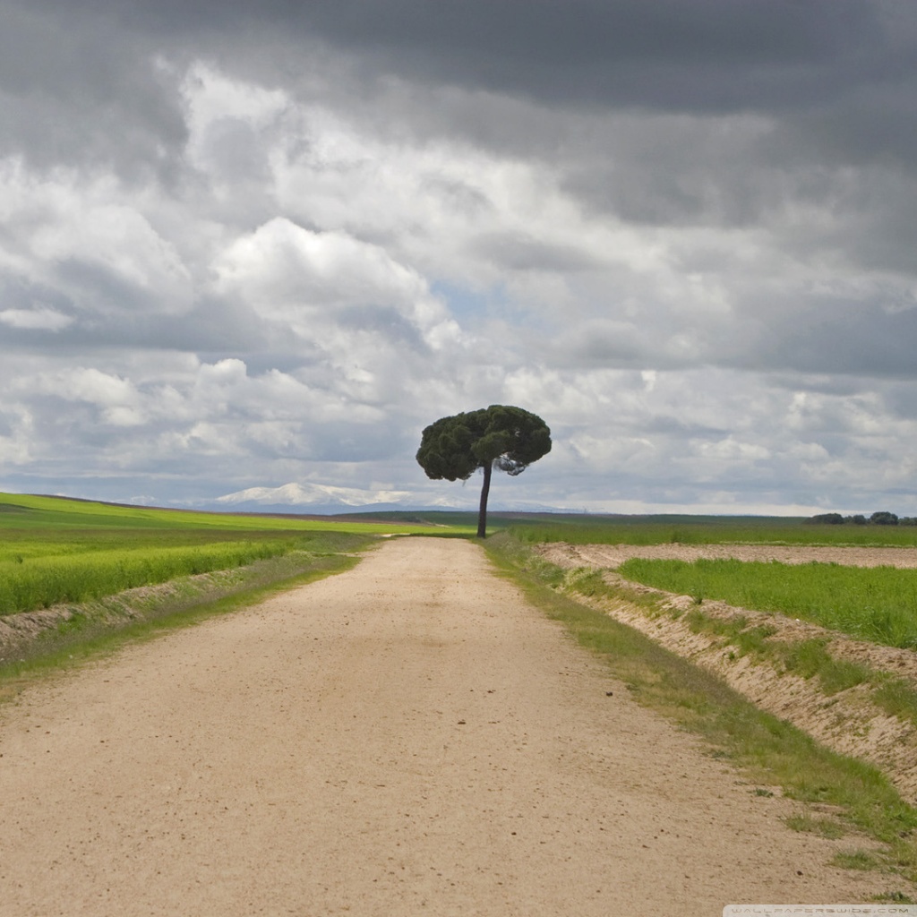 Ultra HD Desktop Background Wallpaper