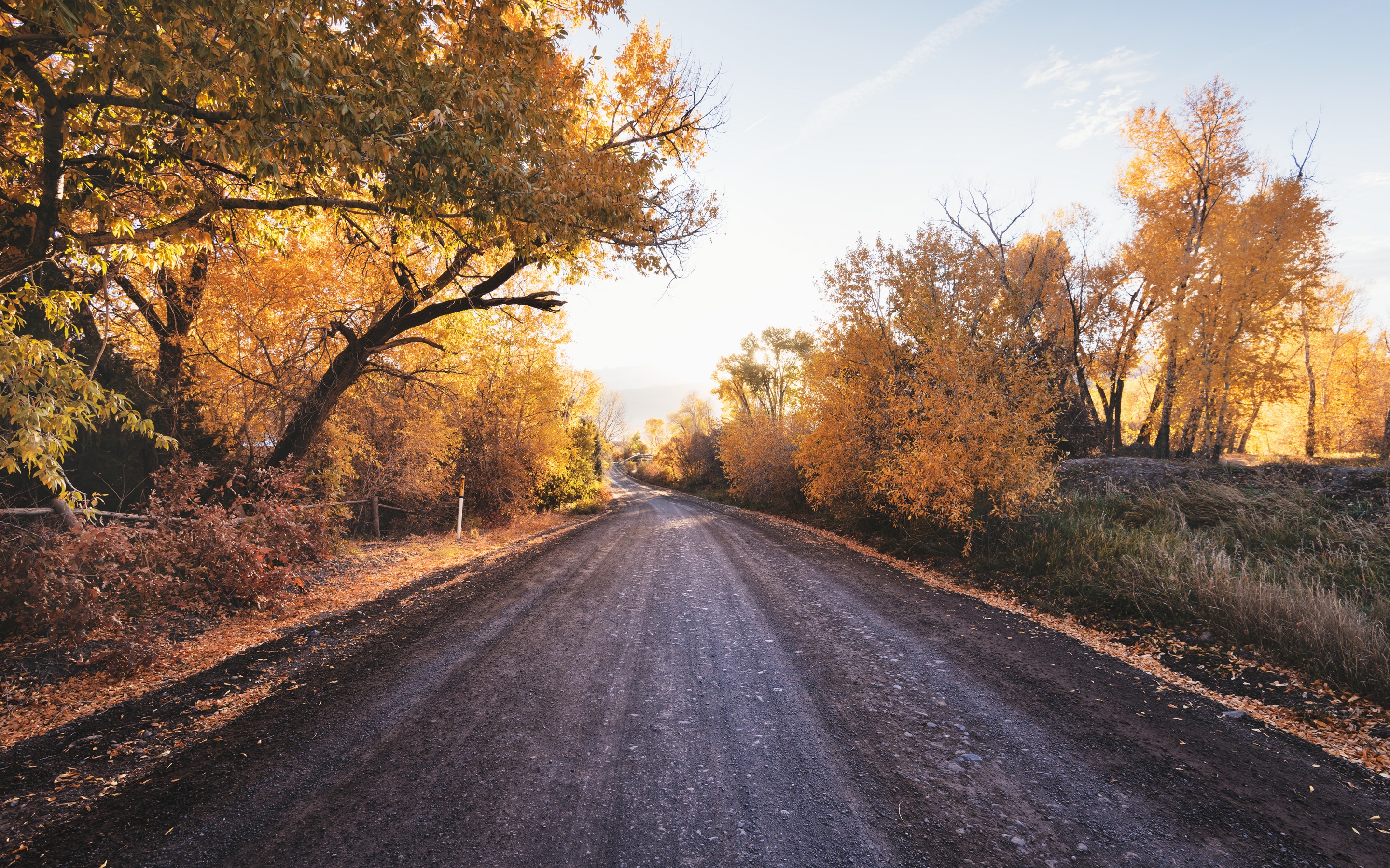 Wallpaper 4K, Autumn trees, Landscape