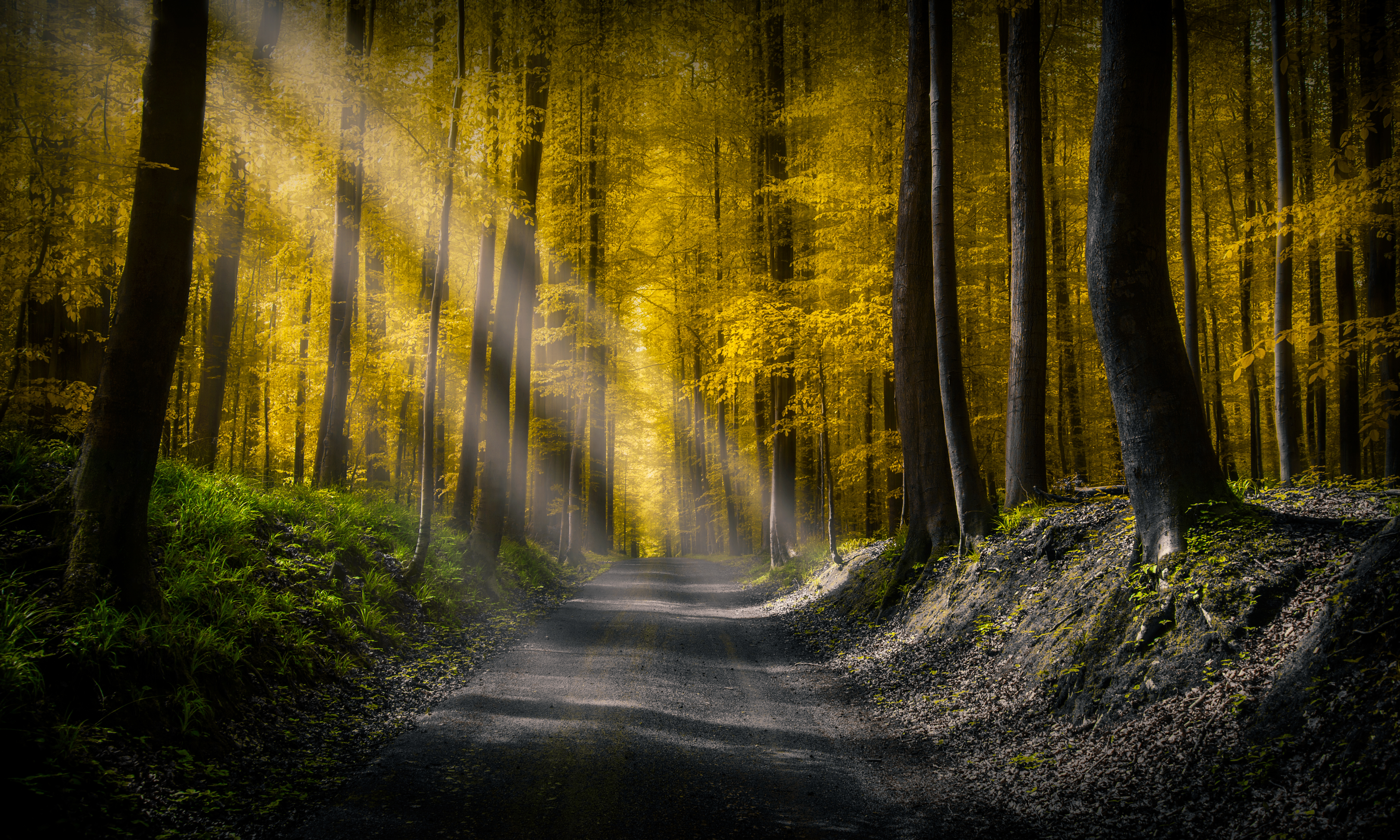 Sun rays Wallpaper 4K, Dirt road