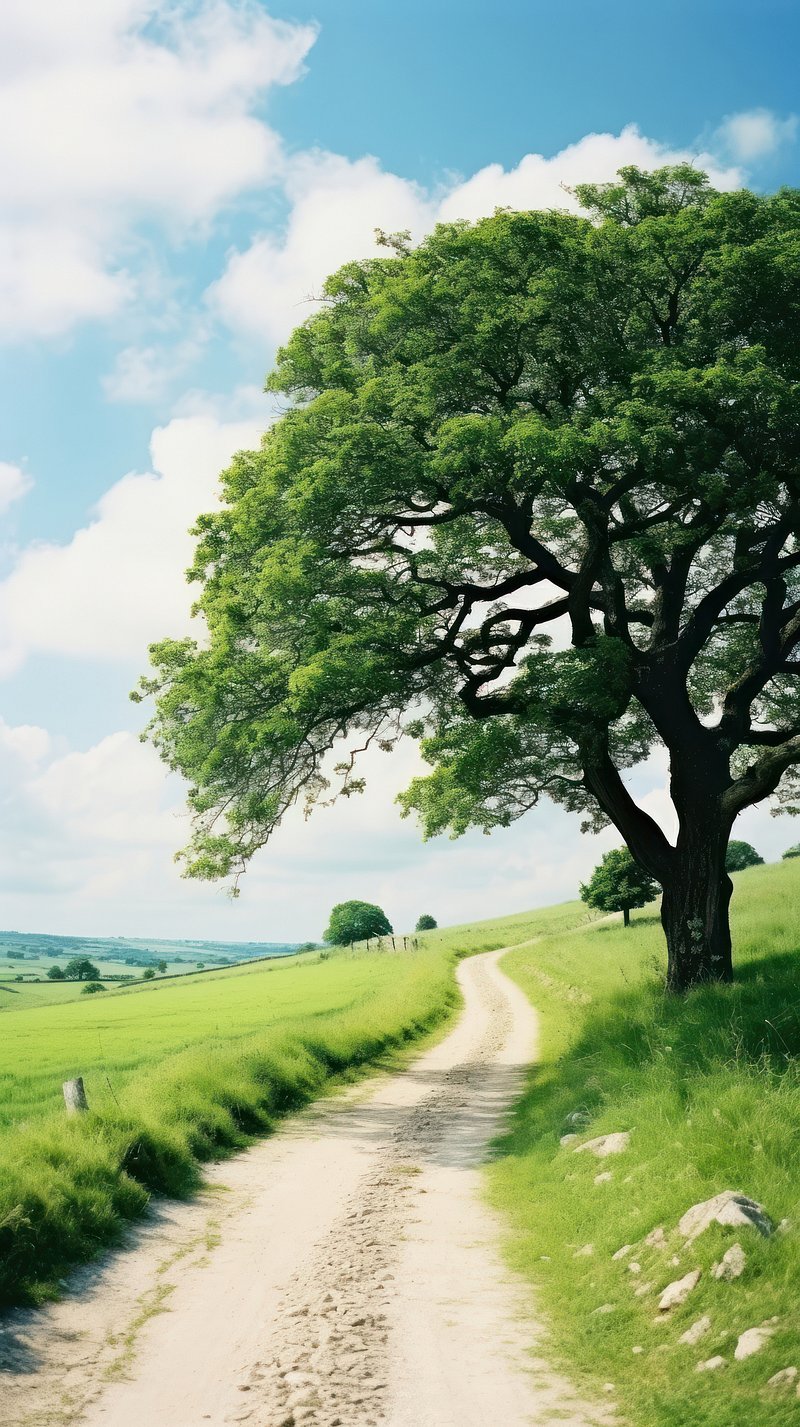 Dirt Road Image. Free Photo, PNG