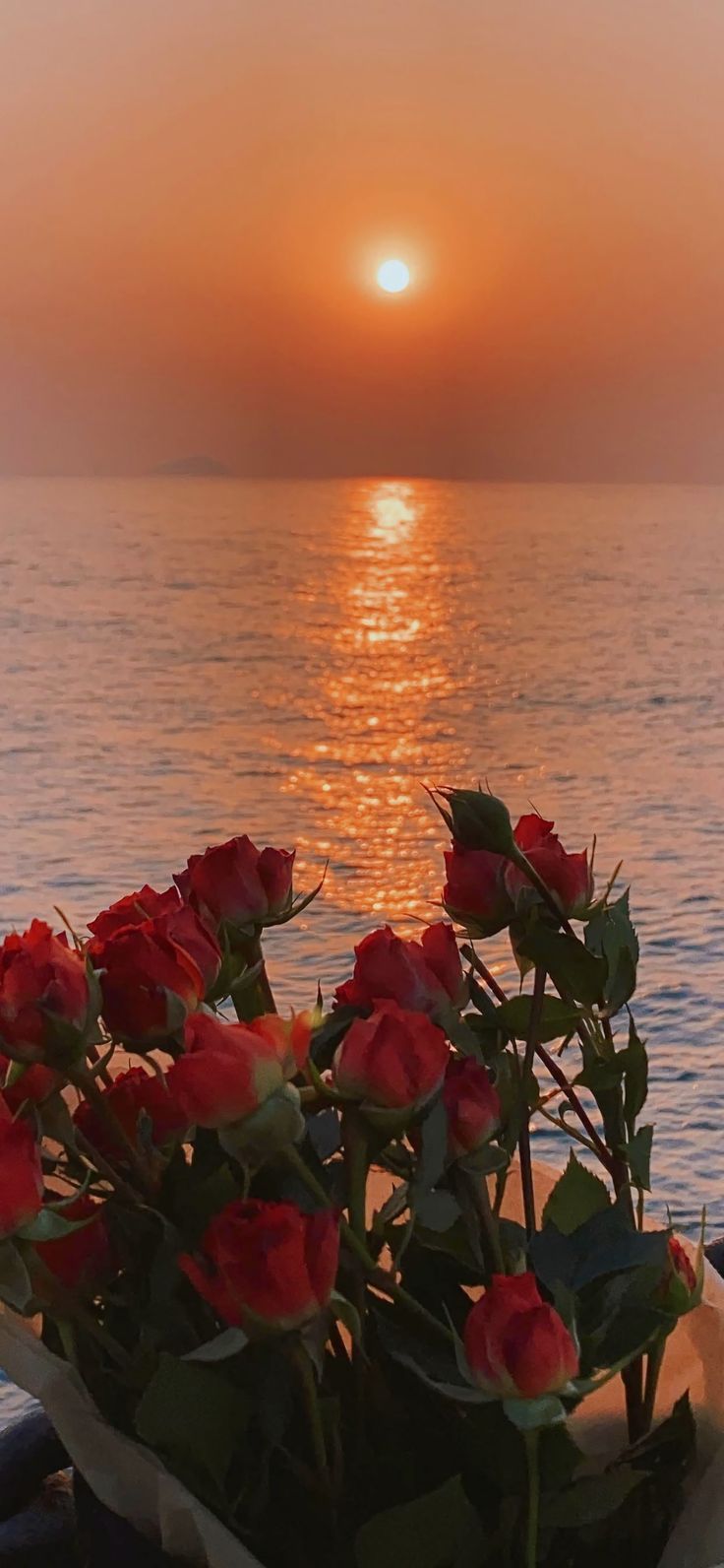 Beautiful wallpaper background