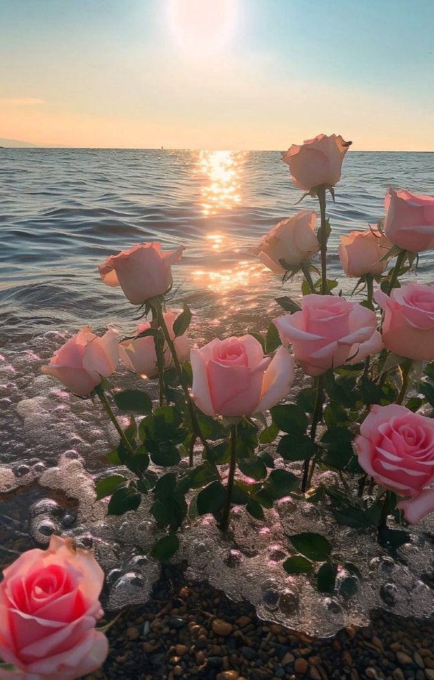 Wallpaper nature flowers, Flower