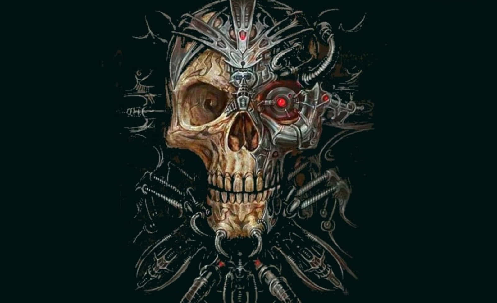 Cool Skull Picture