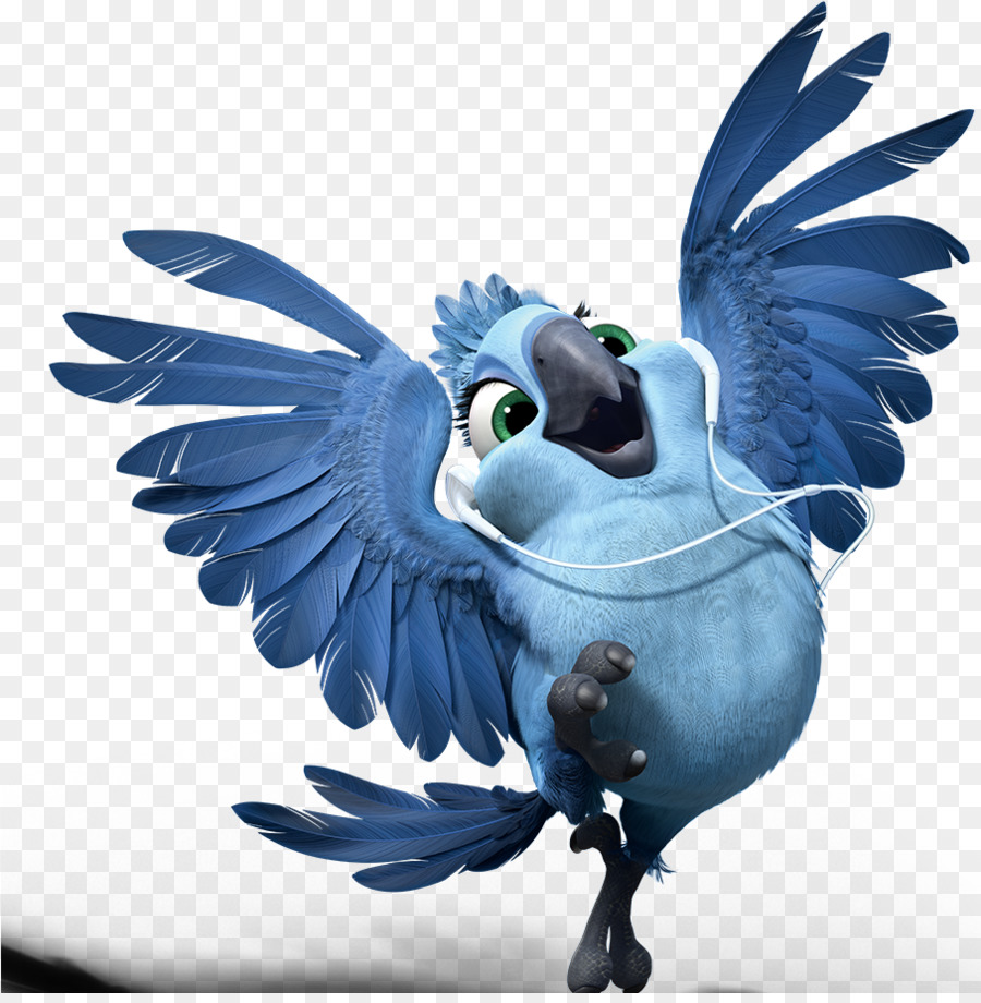 Rio Bird png download