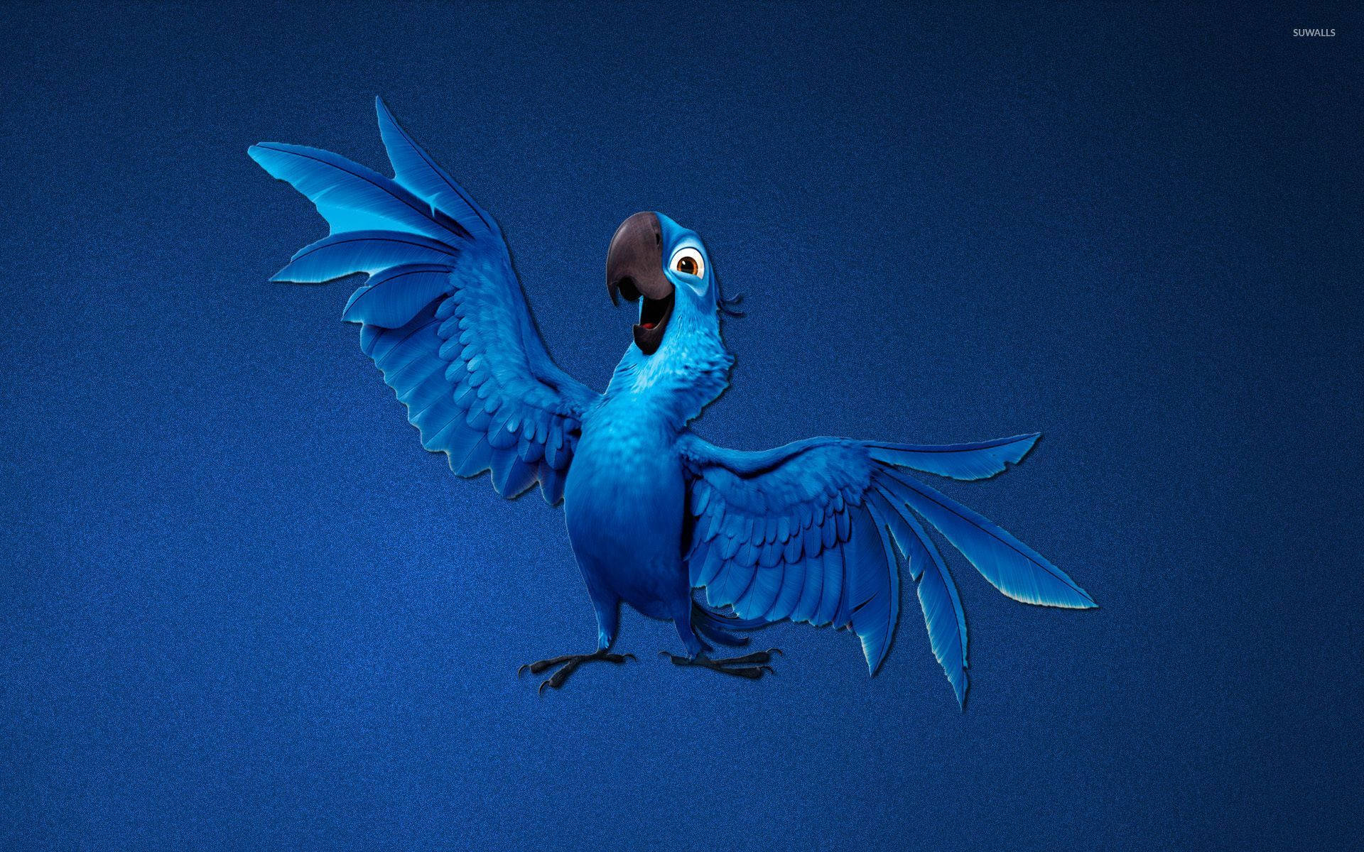 Download Rio Blu Wings Out Wallpaper