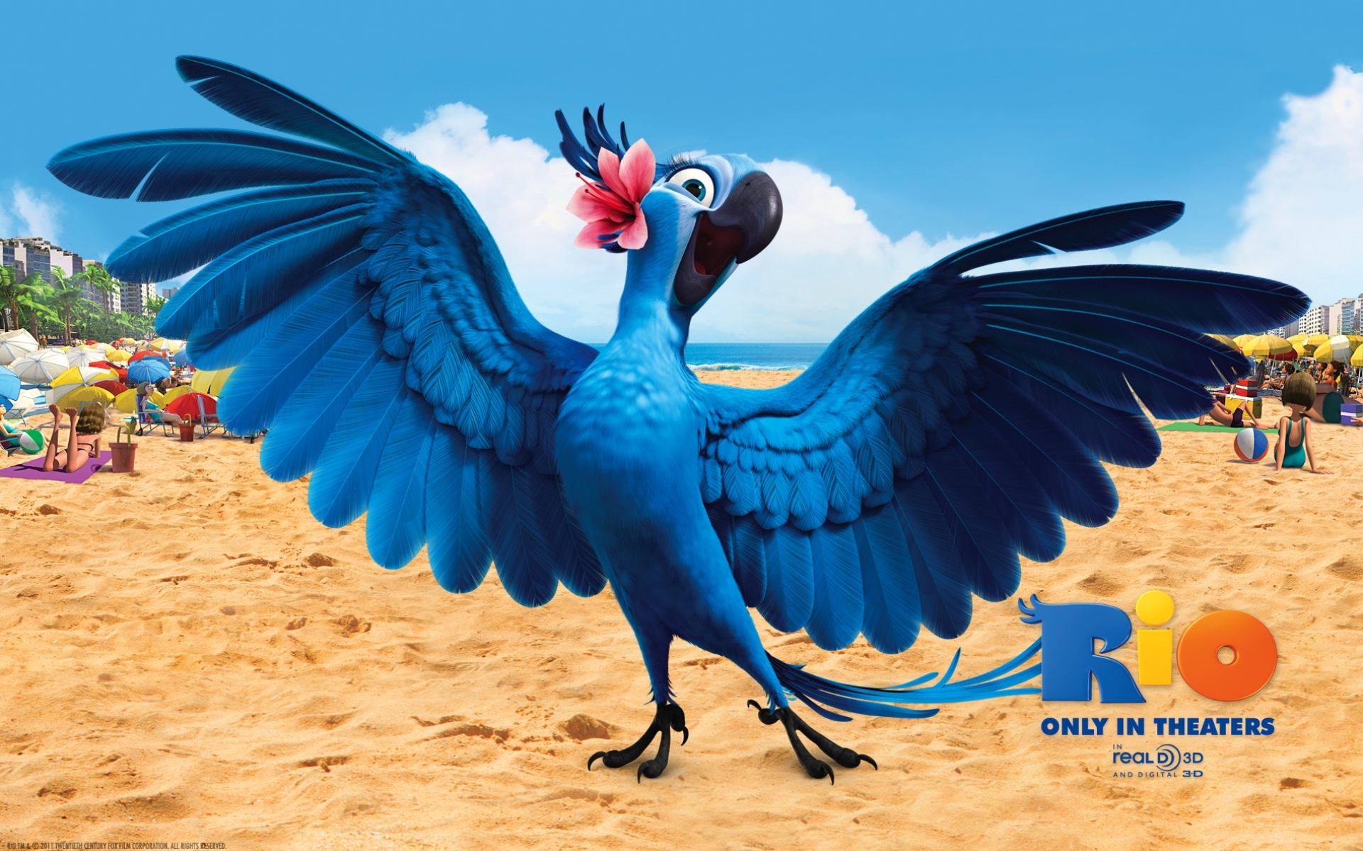wallpaper: Rio, Birds, Parrots, Cartoon