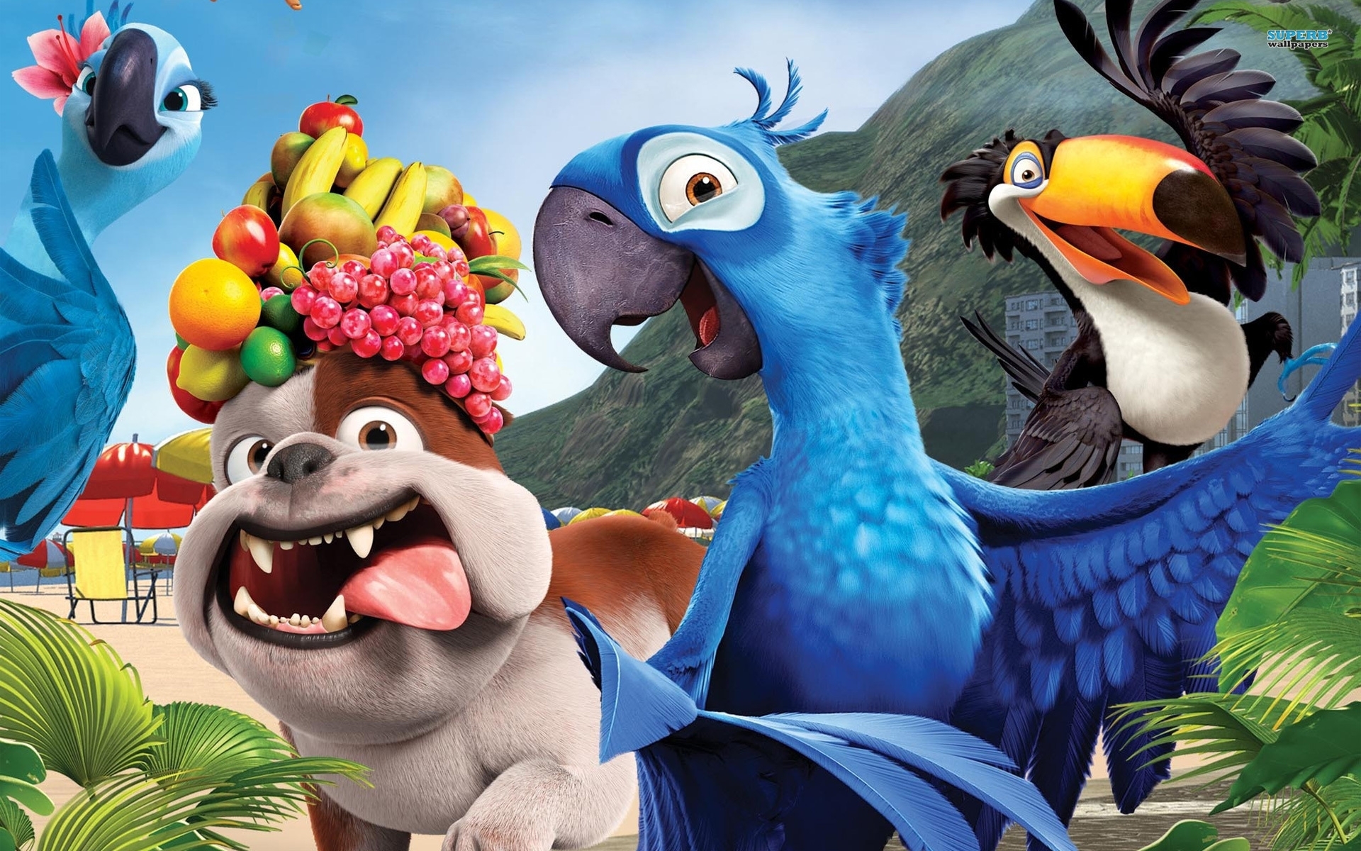 Download Rio wallpaper for mobile