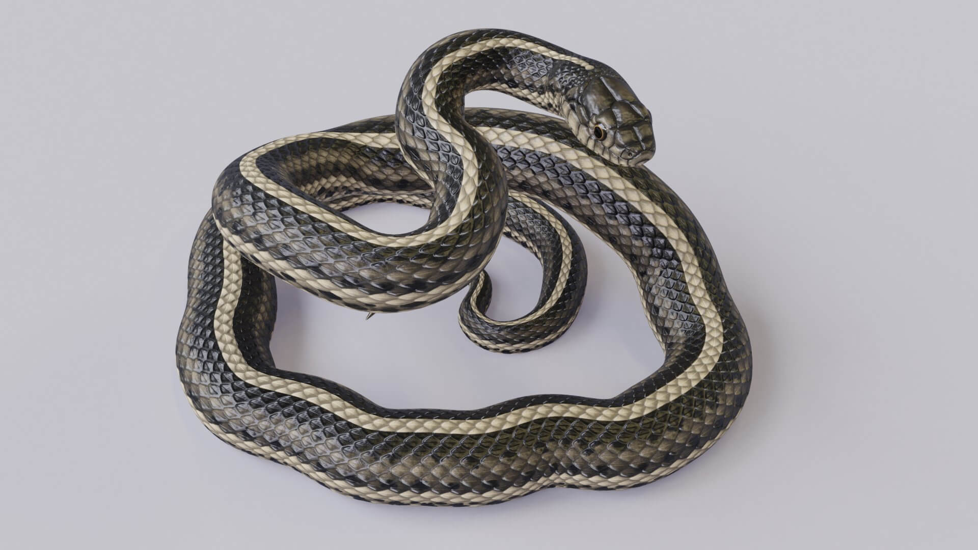 Rigged Garter Snake Model