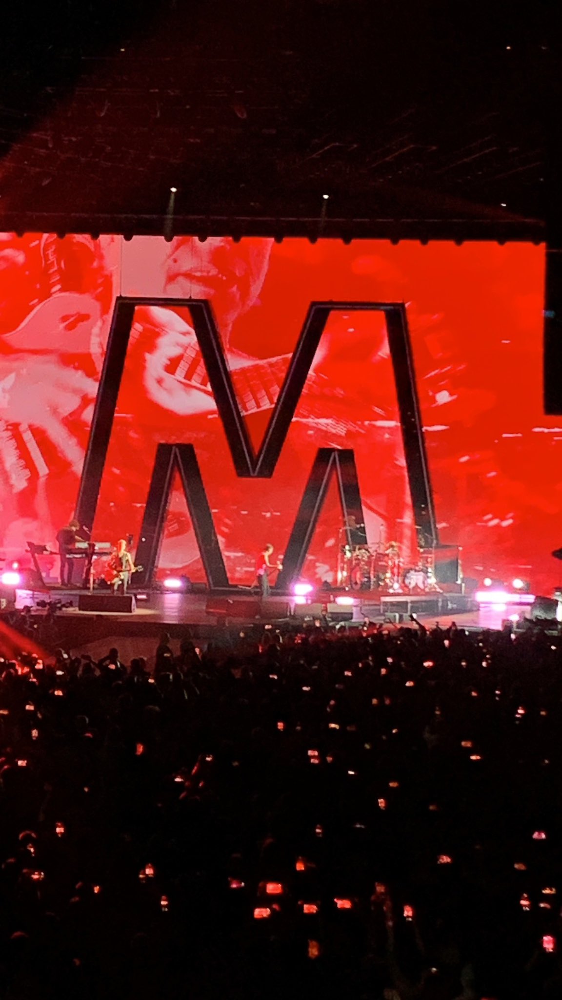 Steve Ball Mode and Pet