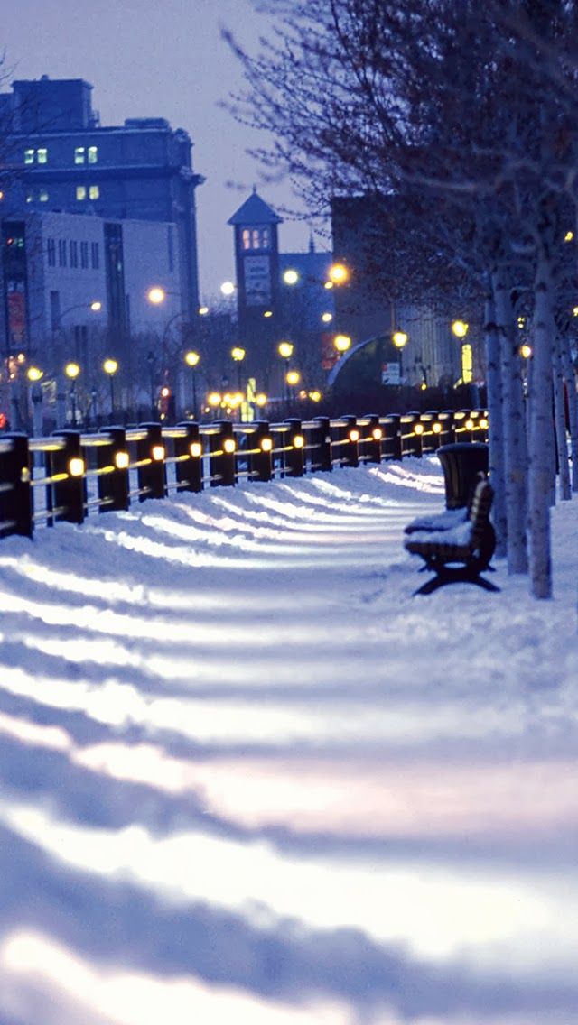 Winter Wonderland Wallpaper iPhone