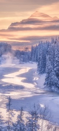 Winter iPhone Wallpaper