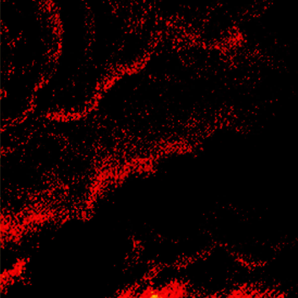 Black Aura Wallpaper