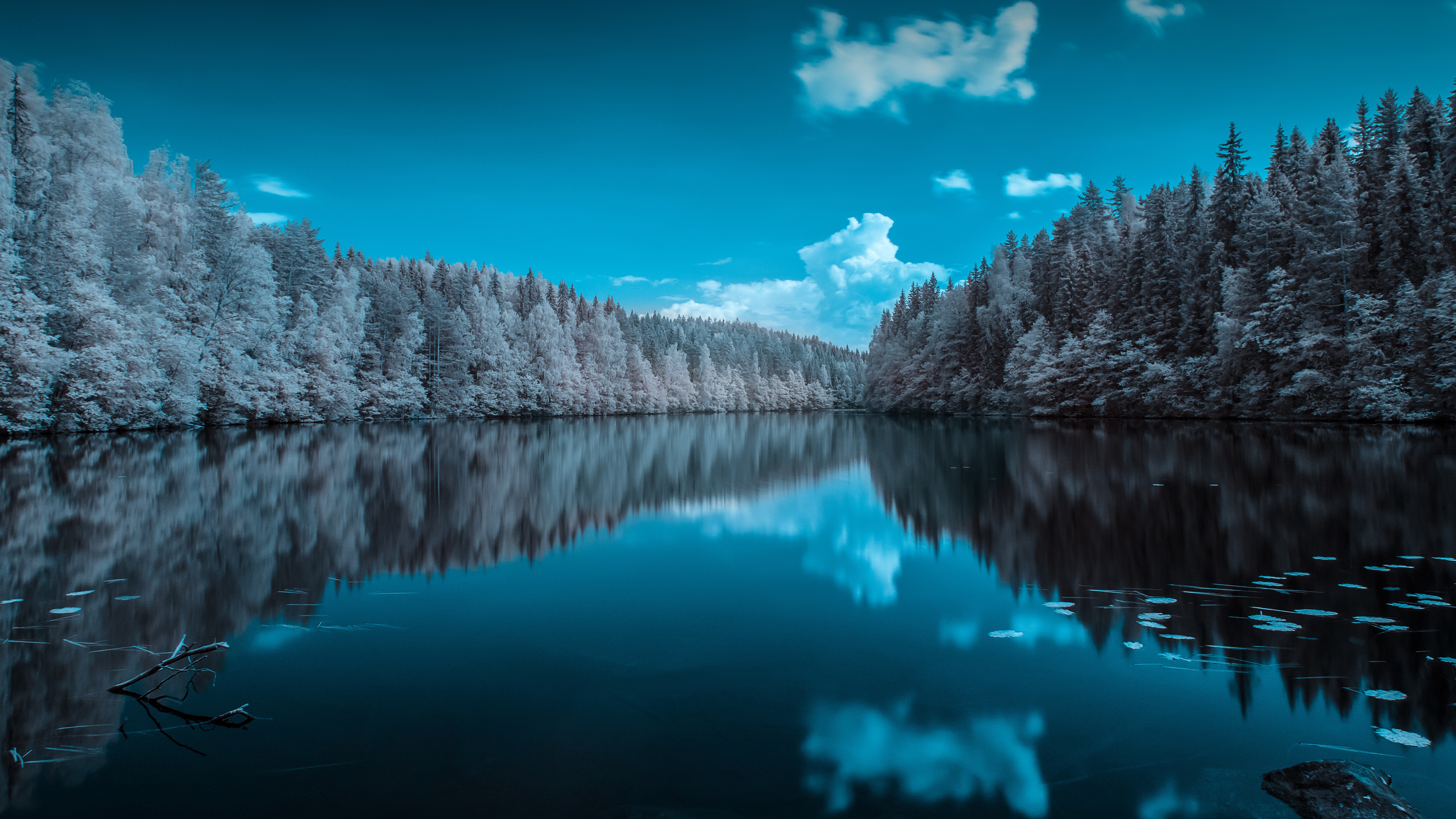 Forest Wallpaper 4K, Infrared vision