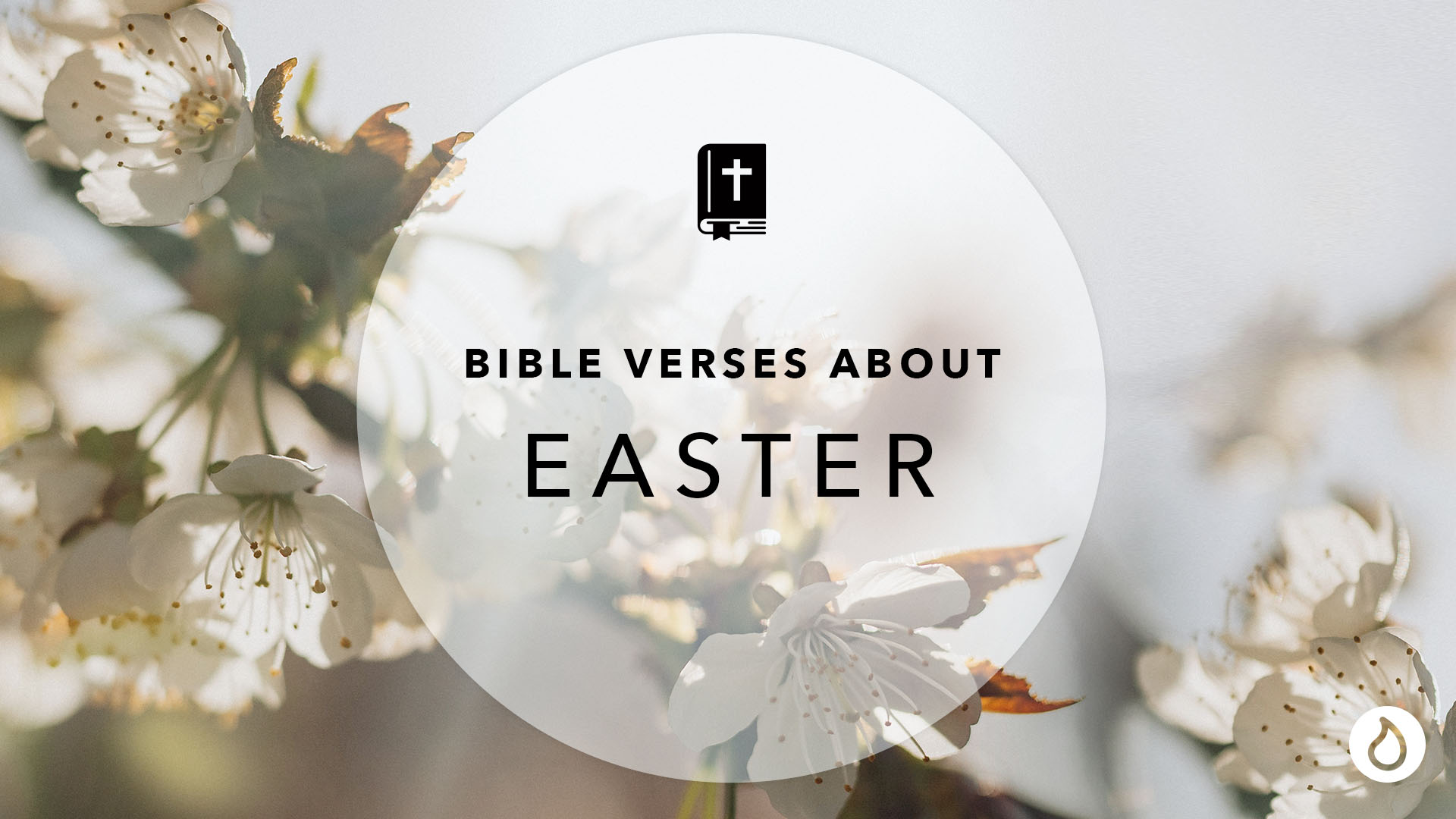 Bible Verses To Reflect On Easter