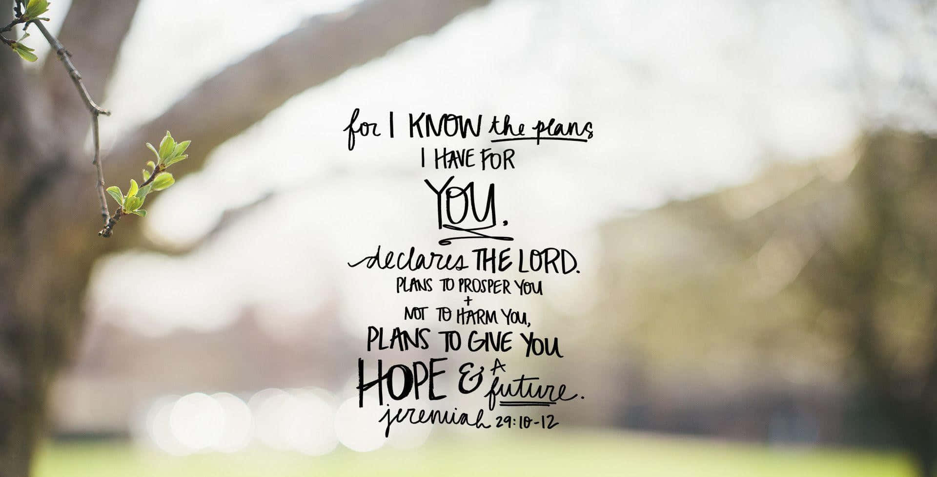 Cute Bible Verse Wallpaper