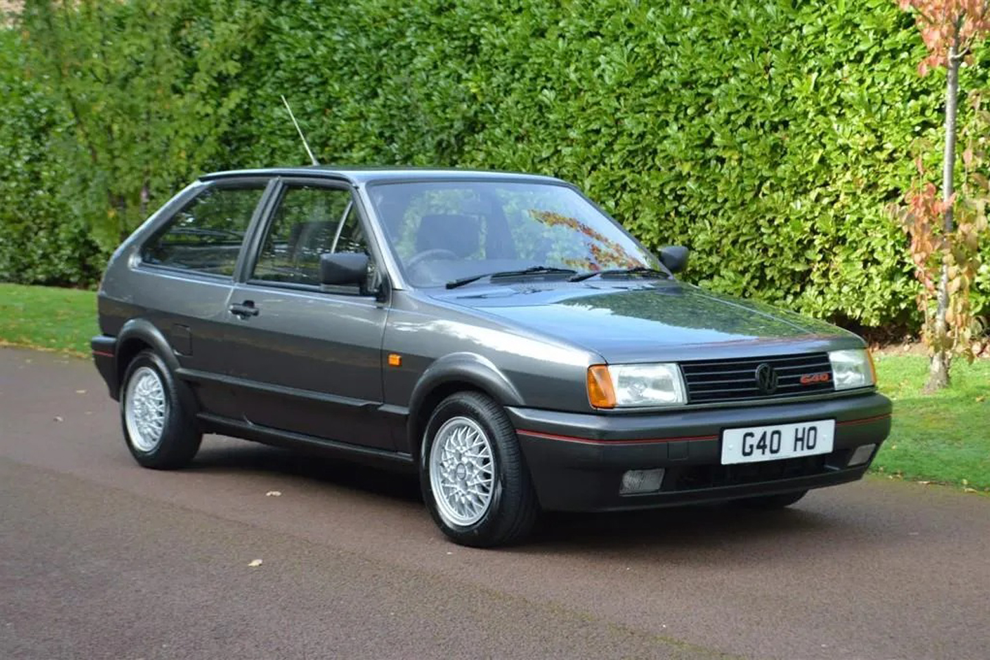 Gold Dust Grade VW Polo G40