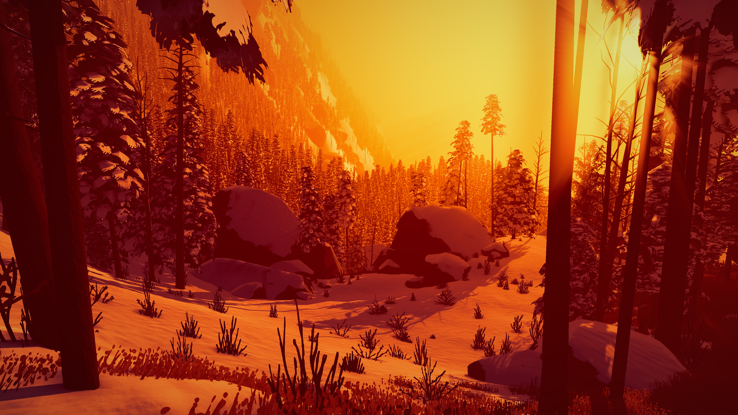 Arctic Arctic Awakening Video Games PC