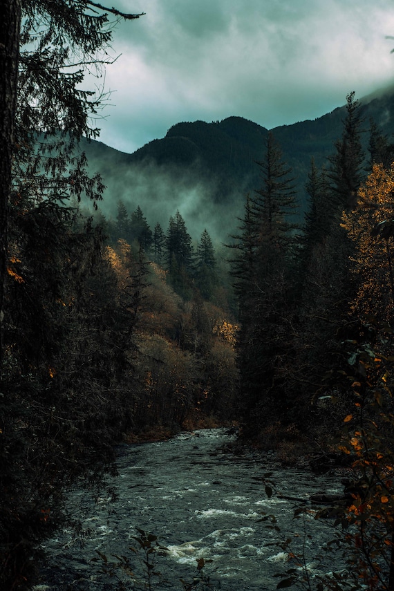 Moody Nature/ Digital Photography
