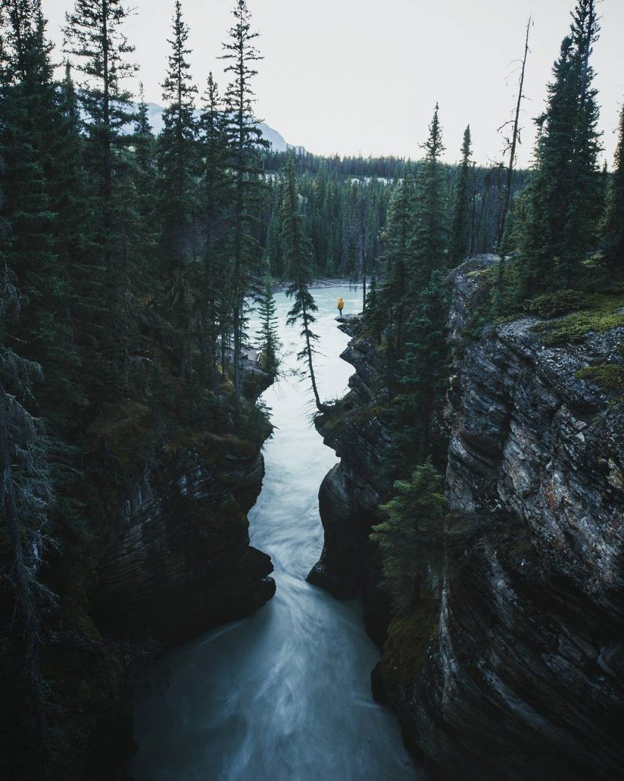 Moody Nature and Mountainscape