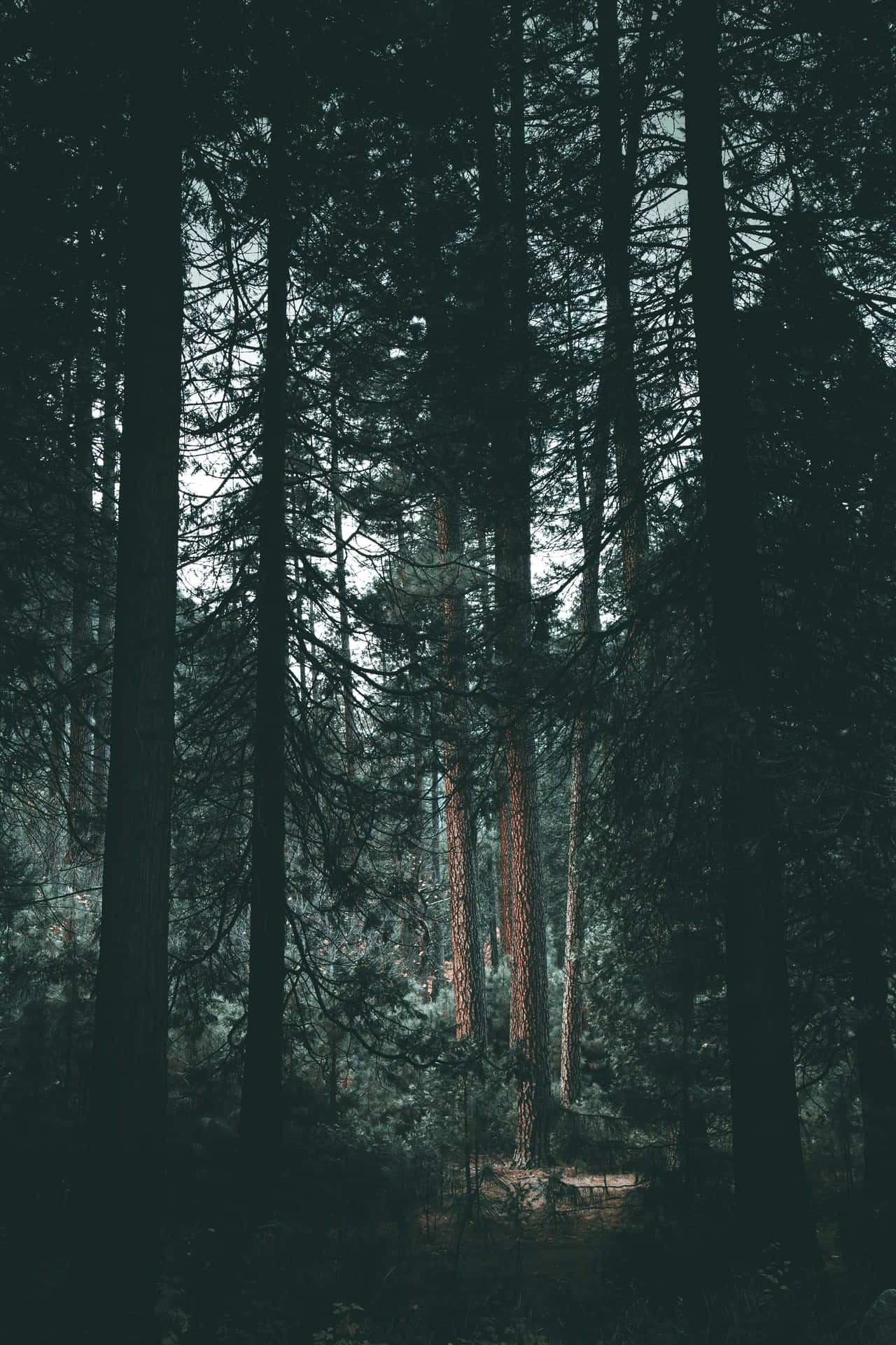 Moody iPhone Wallpapers - Wallpaper Cave