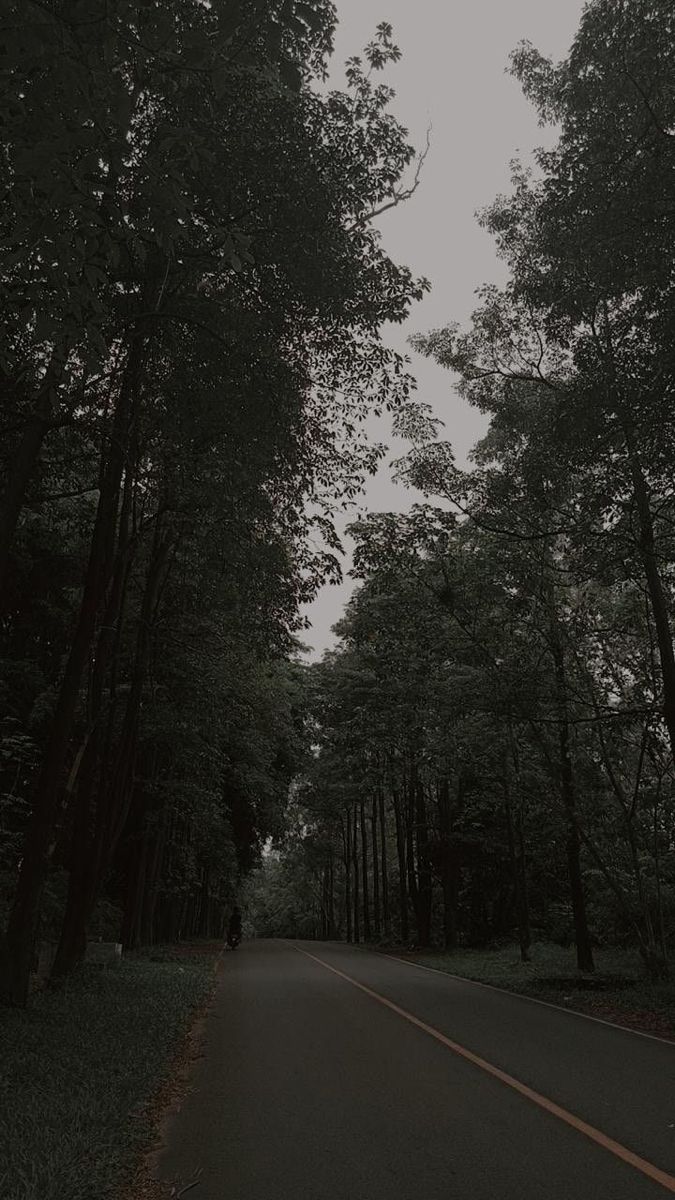 Forest / Twilight vibes