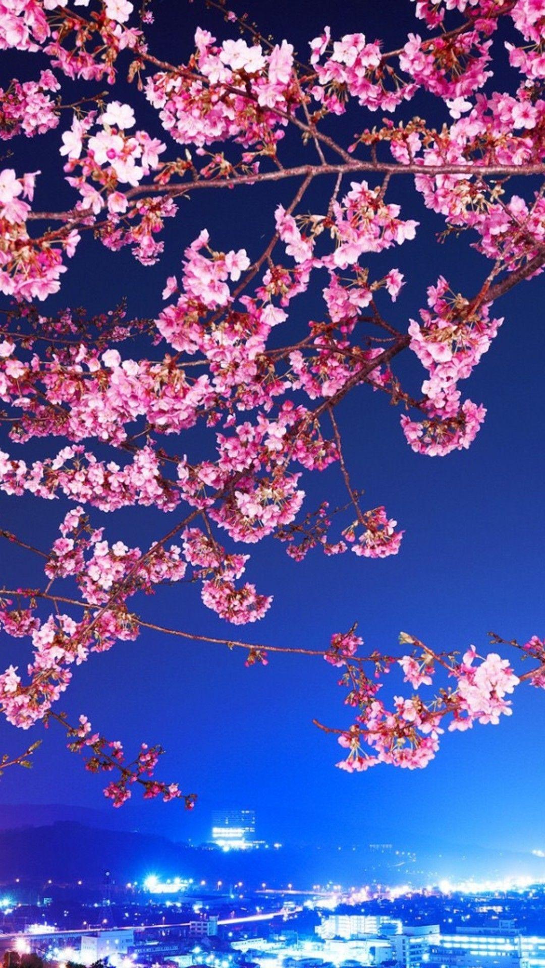 Japanese Castle Cherry Blossom Mountain
