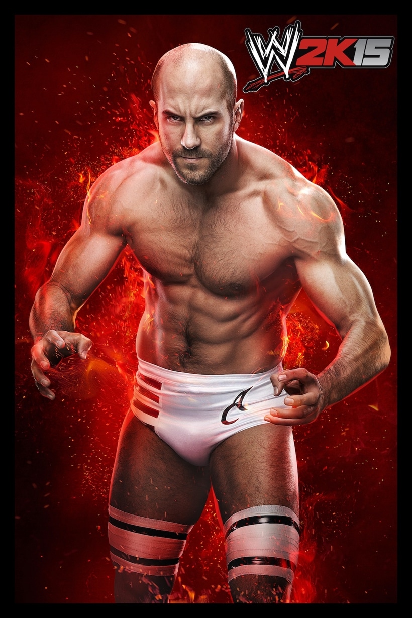 WWE 2K15 Wrestler Art