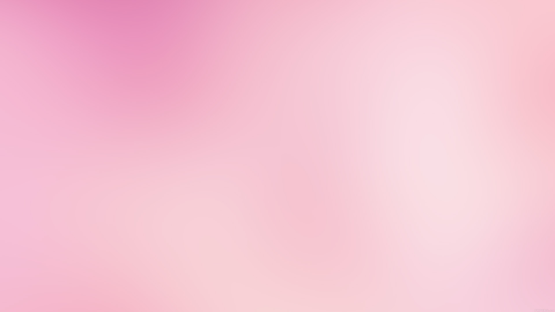 Spring Pink Cherry Blossom