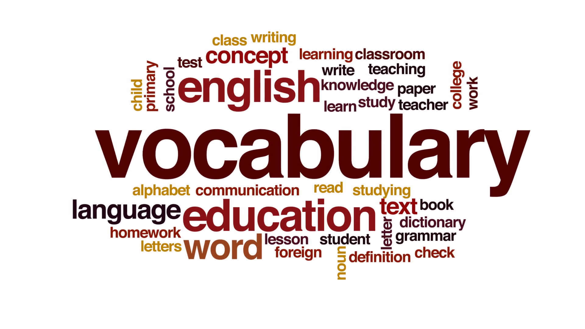 Vocabulary Picture