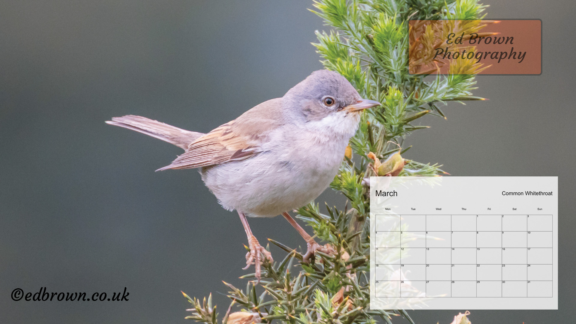 March 2024 calendar desktop wallpaper