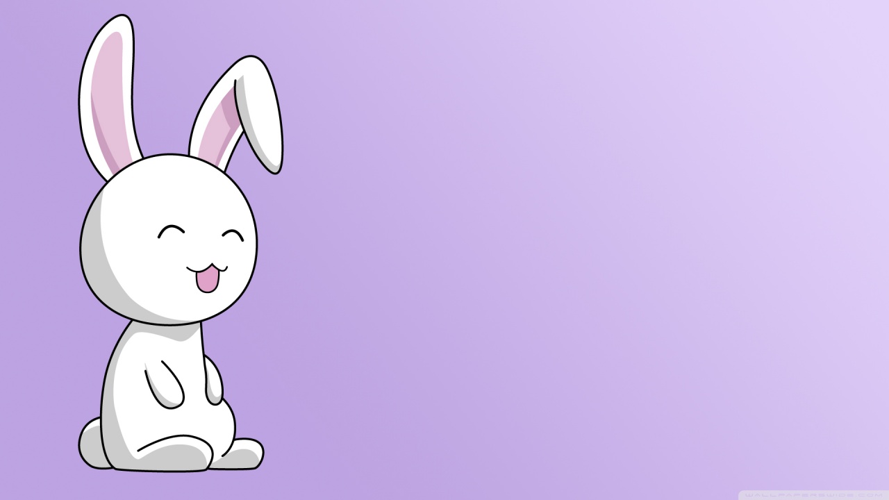 Bunny Ultra HD Desktop Background