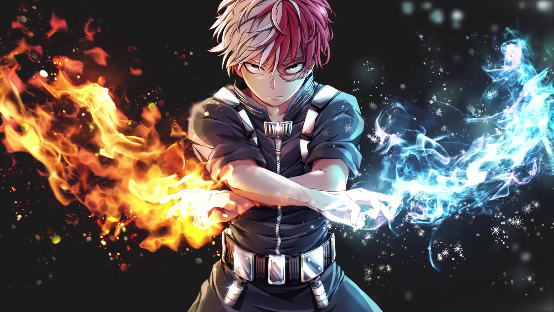 Shoto Todoroki My Hero Academia Live
