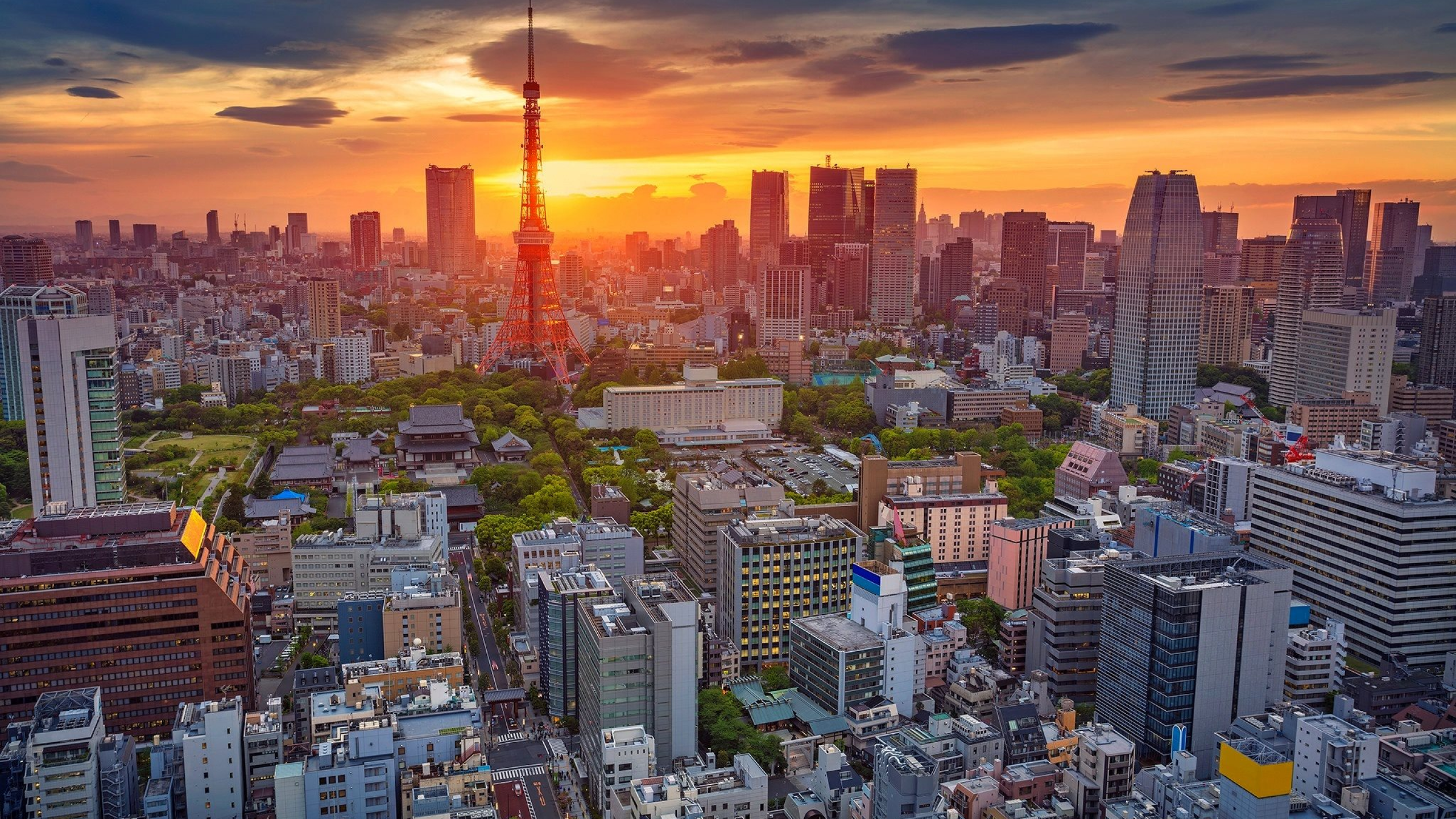 Download 2560x1440 tokyo tower, world