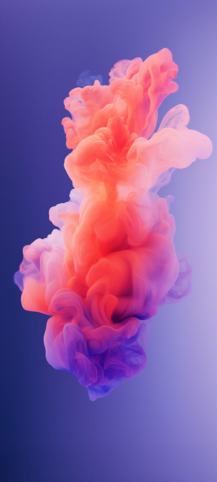 Denise Nepraunig some