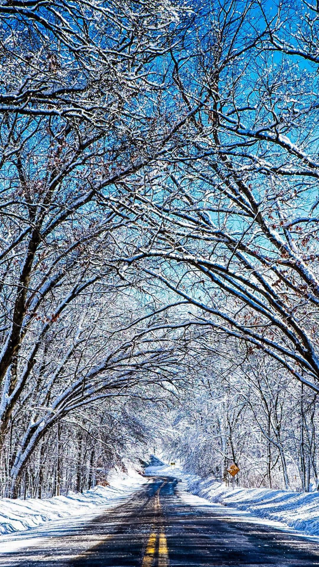 aesthetic winter phone Wallpaper