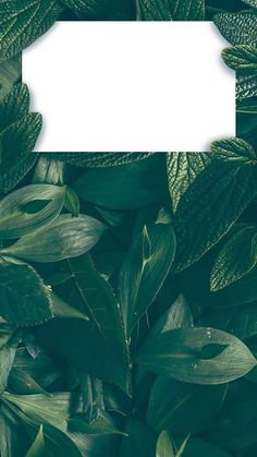 iphone wallpaper, iphone background