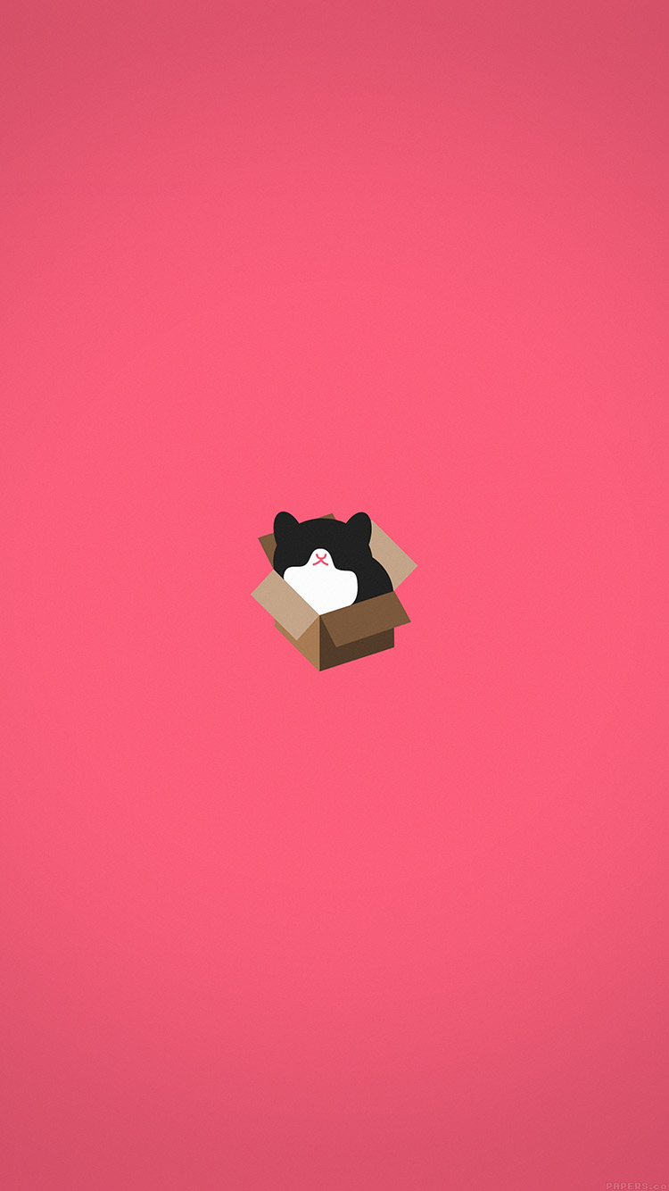 Cat Box Red Illust Animal Art Minimal