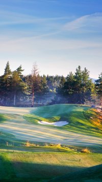 Golf Phone Wallpaper